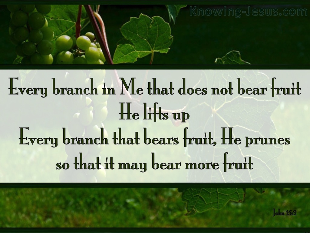 John 15:2 Every Branch That Bears Fruit (green)